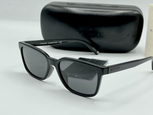 IMG_5393 Coach Dark Grey Square Men's Sunglasses
